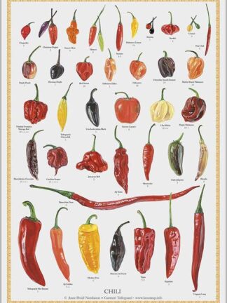 Chili Anne Hviid Nicolaisen