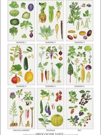Økologisk have - Kirsten Lind