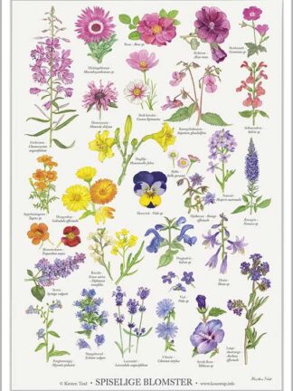 Spiselige blomster kirsten tind
