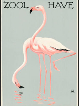 Zoologisk have - Flamingoer - Palle Wennerwald