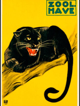 Zoologisk have. - Panter - Palle Wennerwald