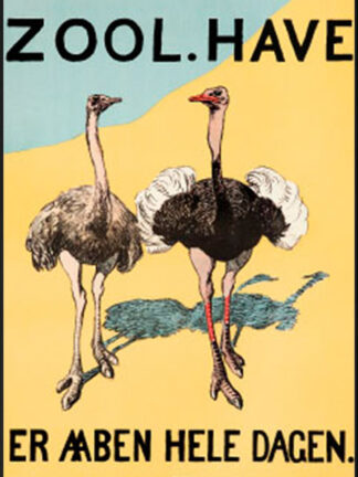 Zoologisk Have - Struds