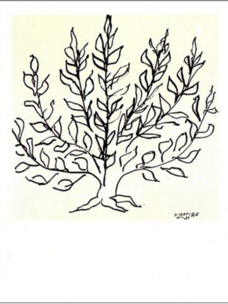 Henri Matisse - La Buisson