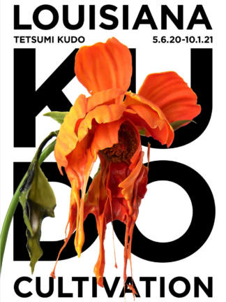 Tetsumi Kudo - cultivation