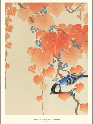 Ohara Kuson Great tit on Paulownia Branch