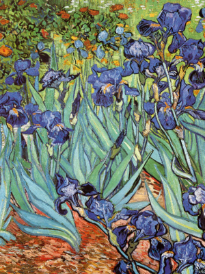 Vincent van Gogh - Iris