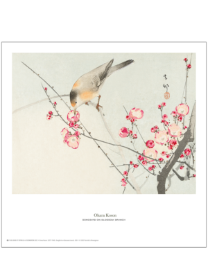 Ohara Koson - Sangfugl på blomstrende gren