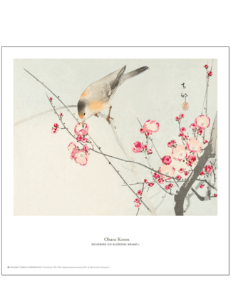 Ohara Koson - Sangfugl på blomstrende gren