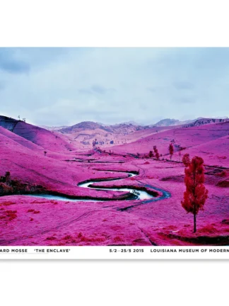 Richard Mosse - The Enclave