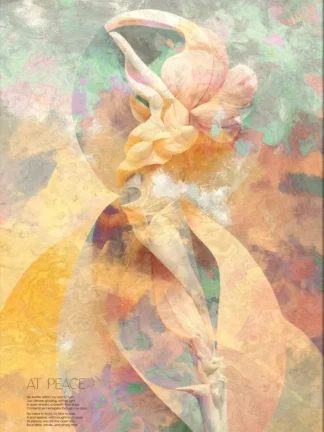 Chicura - At Peace